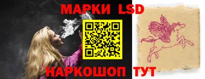 стаф Можга