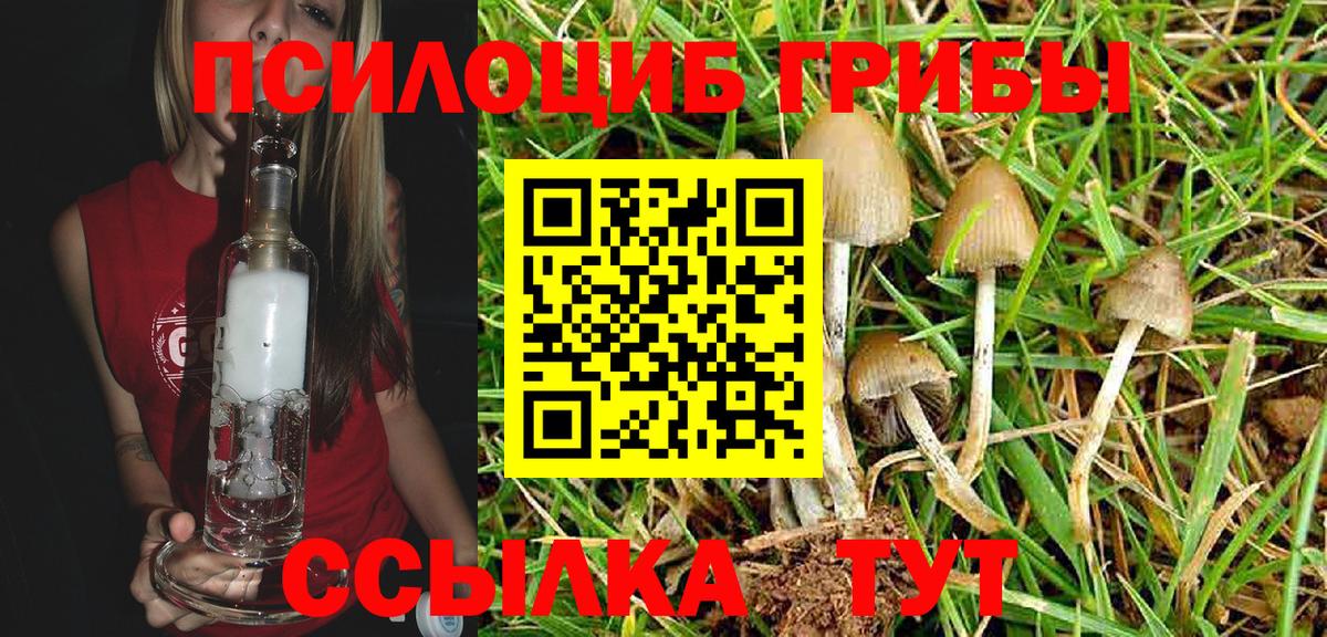 что такое   Галлюциногенные грибы Cubensis  Вход с VPN  Орёл 