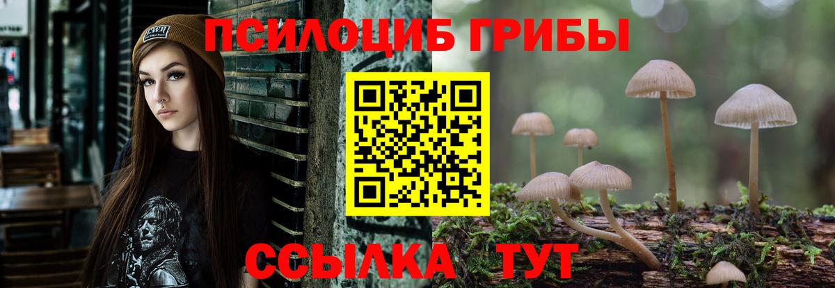 Галлюциногенные грибы мицелий Орёл